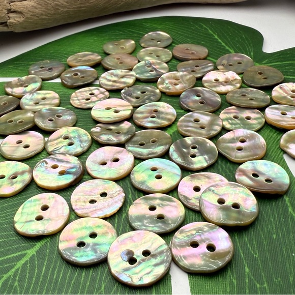 NEW 20 Real PAUA ABALONE SHELL BUTTON BEADS CHARMS DIY JEWELRY CRAFTS SEWING LOT - Picture 10 of 14